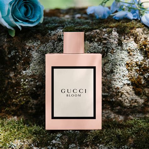 best price gucci bloom perfume|Gucci Bloom cheapest.